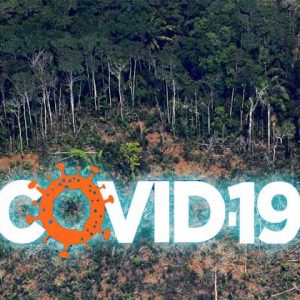 Deforestasi Memengaruhi Pandemi Global