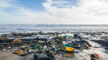 Plastik ancaman bagi lautan